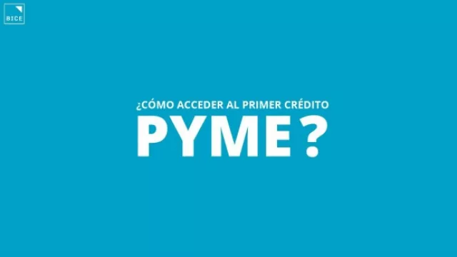 Las PyMES del Alto Valle cuentan con créditos del BICE