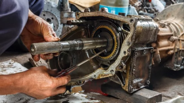 Gestión de Talentos abrió nuevas búsquedas laborales