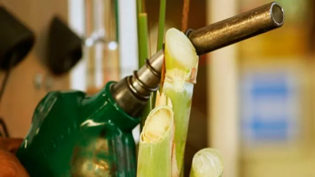 En Tucumán, los industriales del país definieron el futuro del etanol