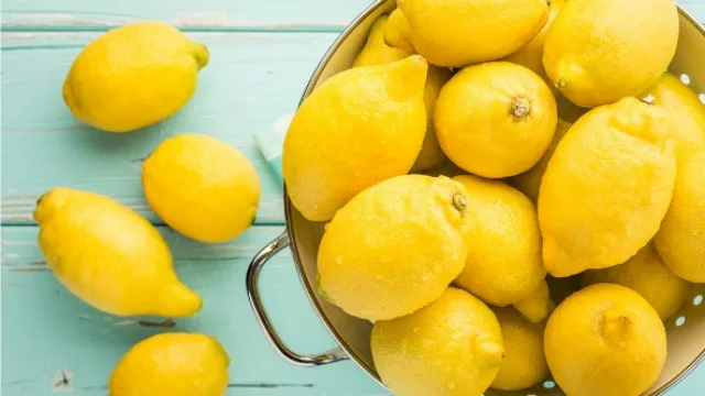 Los cítricos pasaron a ser el principal producto de exportación de Tucumán