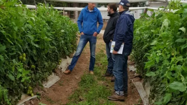 Fertirriego, una herramienta para aumentar la eficiencia en el uso de los recursos