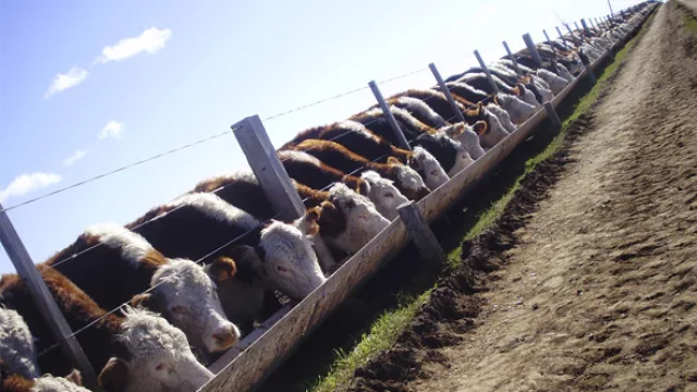 El agro en Paraguay es 8,5 veces más rentable que en Uruguay