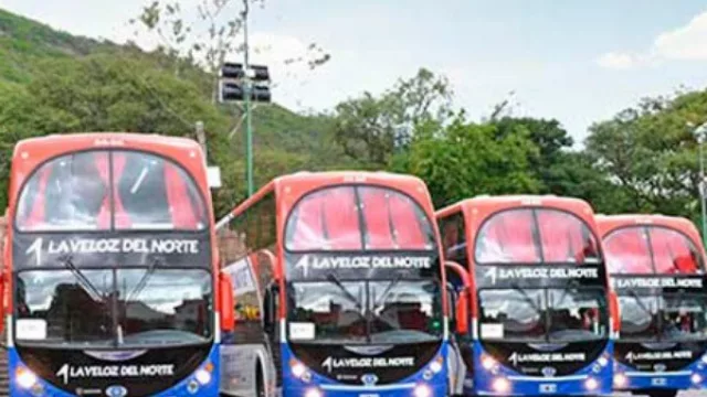 La Veloz del Norte incorporó a su flota 20 nuevos colectivos con los que mejorará sus servicios