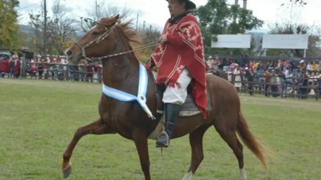 Se viene una nueva edición del torneo de Caballos Peruanos más importante del país y la región