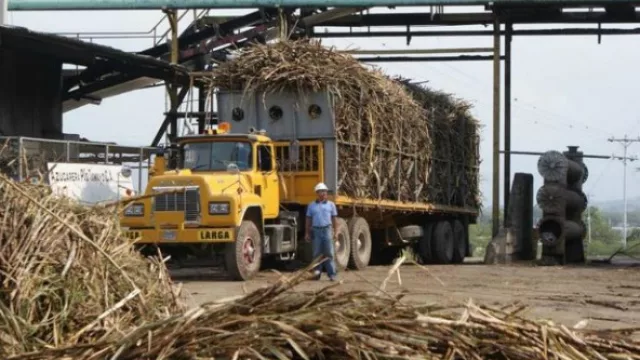 Se inicia la zafra y se reactiva la economía del interior provincial