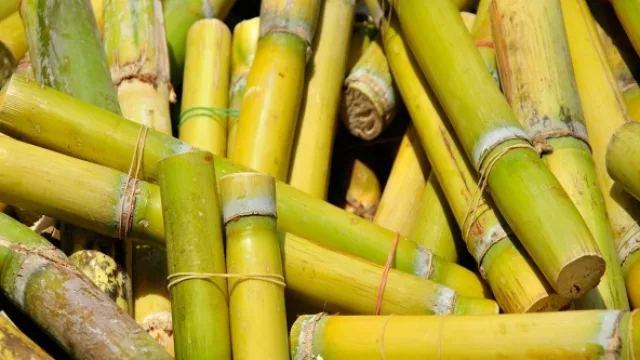 Bajó el precio del azúcar tucumana y complica a los comerciantes del sur de la provincia