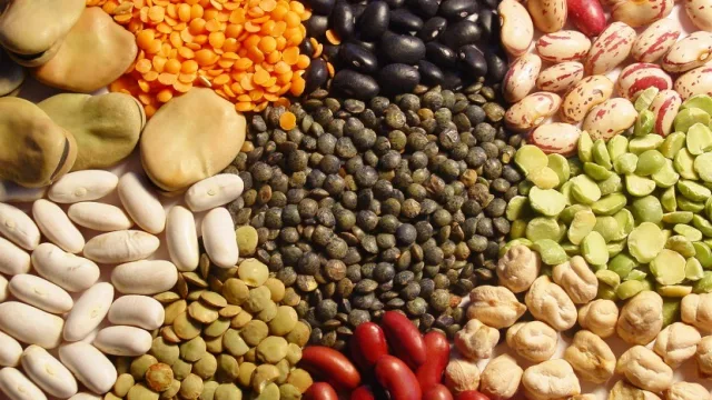 Convocan a productores de legumbres salteños para participar de una ronda de negocios con empresarios de la India