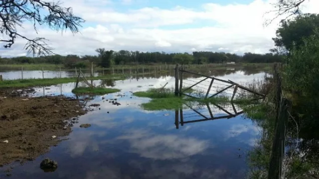 Pese a las inundaciones el campo cordobés facturará $10.000 M más que en 2016