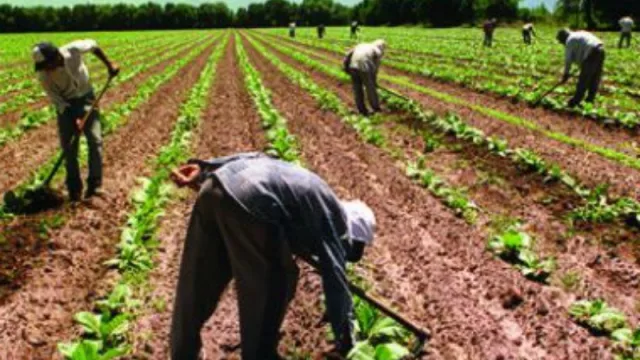 Debido a los malos sueldos, el 20% de los trabajadores salteños dice que está en la búsqueda de un segundo empleo