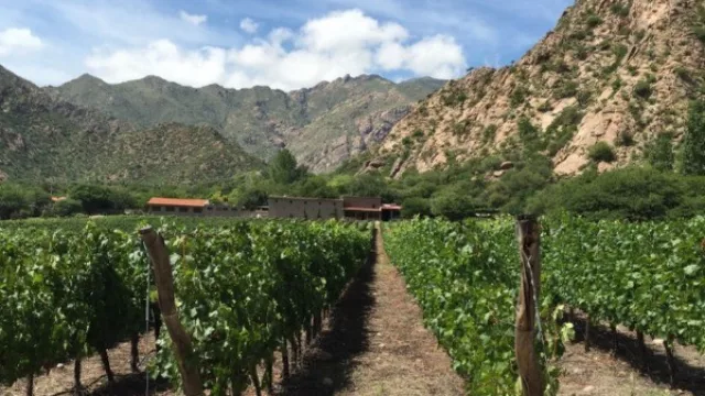 Cafayate se prepara para recibir la Vendimia de las Nubes