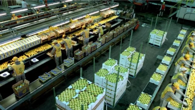 Empresarios privados apuestan al crecimiento: el empleo incrementó 1.6% en la provincia