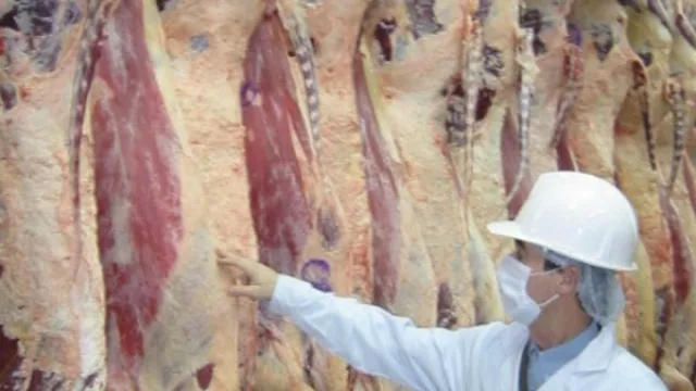 Chicoana tiene un nuevo frigorífico municipal, y los productores del Valle de Lerma festejan