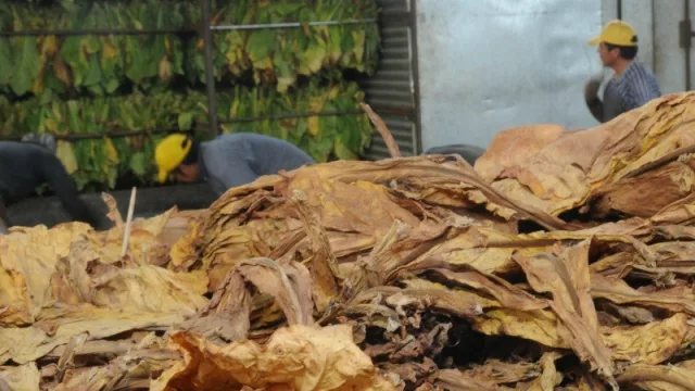 Una buena noticia para los tabacaleros salteños: El FET pagará el 50% de sus facturas de gas