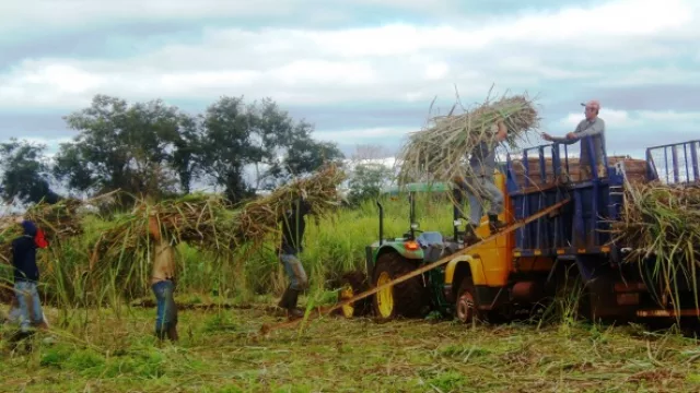 La provincia en alza: Tucumán lideró el ranking de generación de trabajo