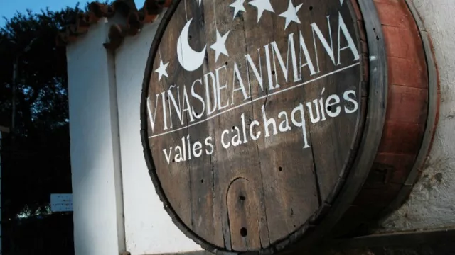 La tradicional bodega Animaná busca diversificarse a través del turismo y de otras bebidas