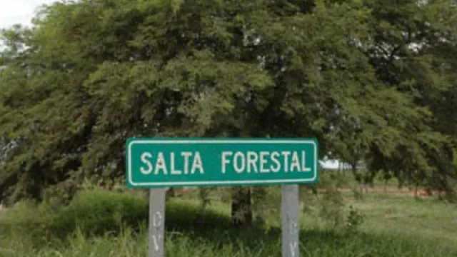 ¿Y ahora? ¿Qué hacemos con las tierras recuperadas de Salta Forestal?