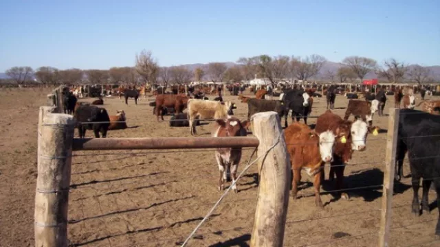 Córdoba hace punta en norma sustentable para tambos, feed lots y avícolas
