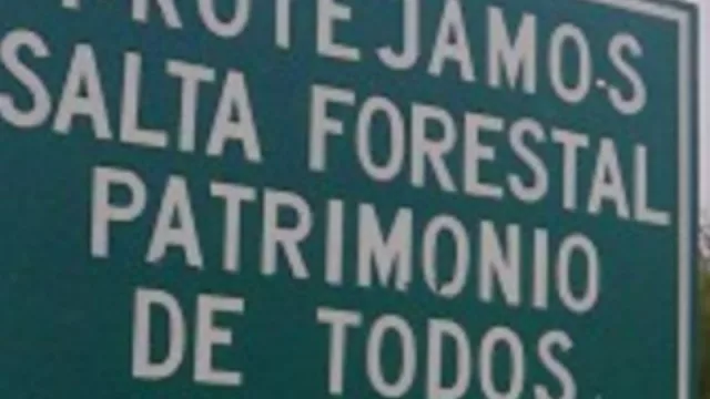 Salta Forestal: La Provincia recuperó más de 80.000 hectáreas de la concesión a la familia Olmedo