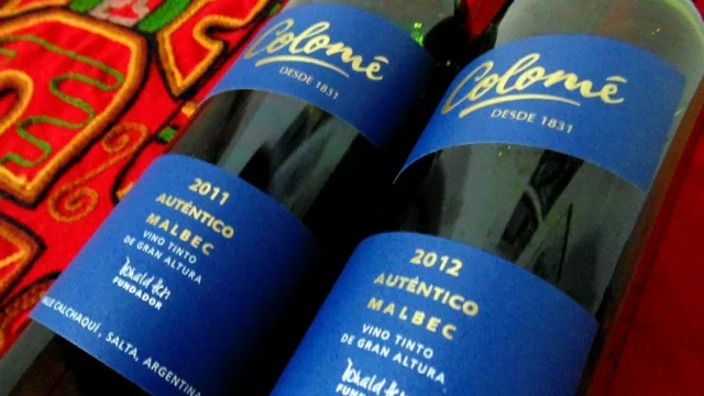 Puro orgullo: un vino salteño fue elegido entre los 100 mejores del mundo