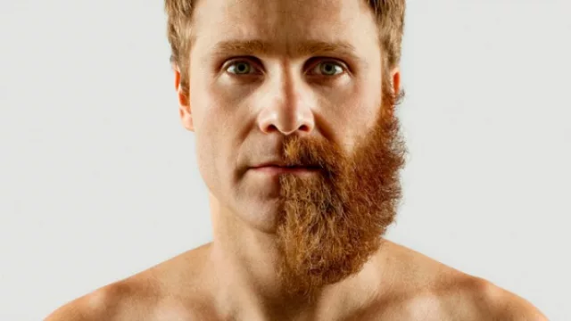 El hombre es como el oso: cuando más barbudo más hermoso