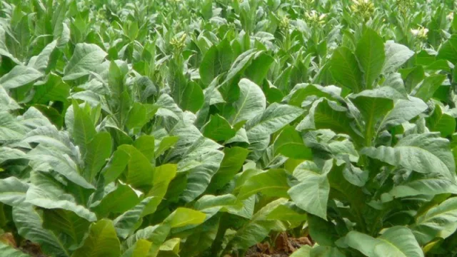 Hubo marcha atrás del Gobierno Nacional y se firmará un nuevo acuerdo por el FET