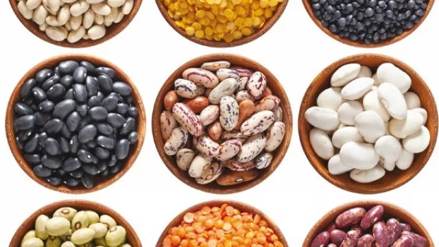 Jornadas “Valor Agregado en los Alimentos”: la producción de legumbres de Salta busca sumar valor agregado