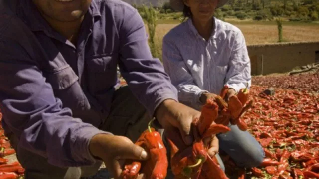 Salta recibirá del Banco Mundial 30 millones de pesos para pequeños productores