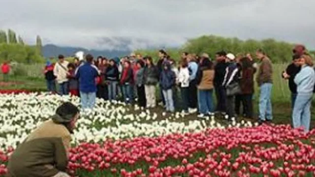 La primavera en Metán: llega al sur de la provincia la idea de promover la floricultura