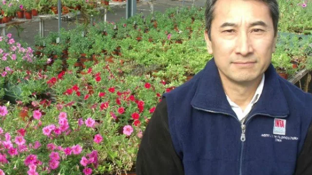 Salta podría ser exportadora de flores, pero hoy ni siquiera cubre el mercado local