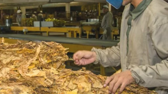 Salta se consolida como la provincia más exportadora del NOA (16,8% más que en el mismo periodo de 2015)