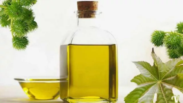 De los tiempos de ñaupa, rescatamos el aceite de ricino. Y nos dicen...