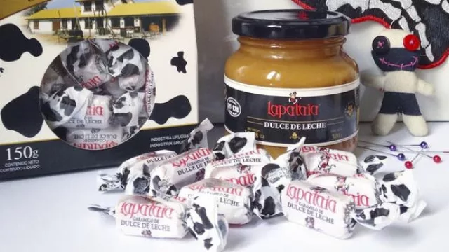 Viento en contra: La empresa uruguaya Lapataia sigue en pie