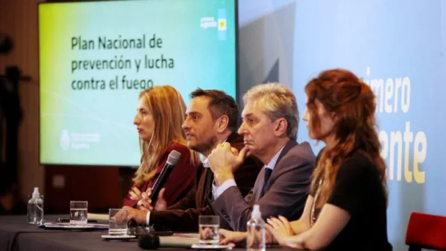 Ambiente presentó un plan de US$ 50 millones para el manejo del fuego ante el inicio de la temporada alta de incendios