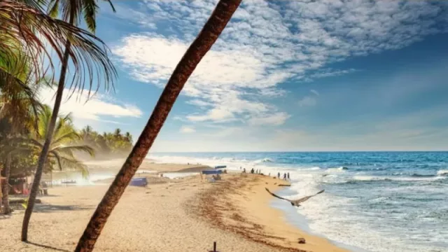 Descubrí la nueva aerolínea ultra low cost que te lleva a tus próximas vacaciones