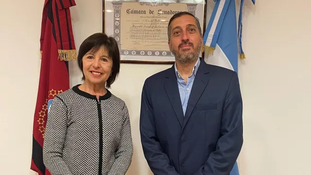 Las pymes salteñas quieren los subsidios de gas y luz (hicieron un pedido en el Senado de la Nación)