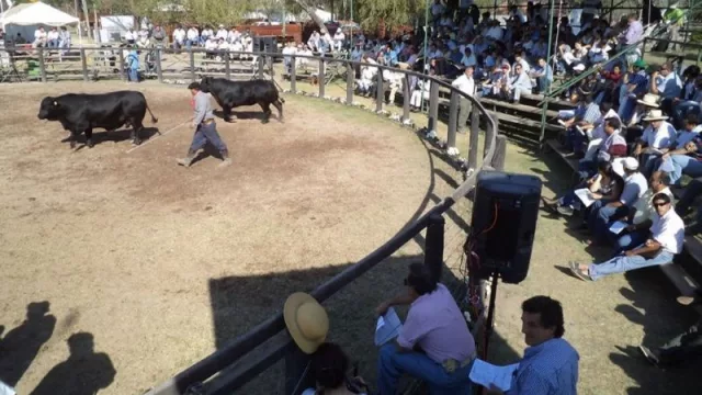 “Hasta que no veamos medidas concretas, son todas expresiones de deseos de Sergio Massa”, dijo Carlos Segón de la Rural