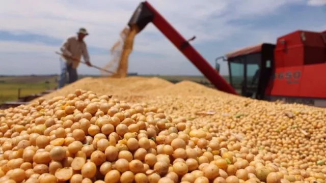 Para los productores salteños, el Dólar Soja es “un mamarracho” (amplio rechazo)