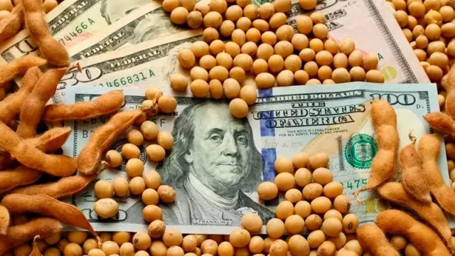 Nuevo cepo al "dólar soja": para entidades agrarias, la medida del Banco Central es "perjudicial para toda la cadena"