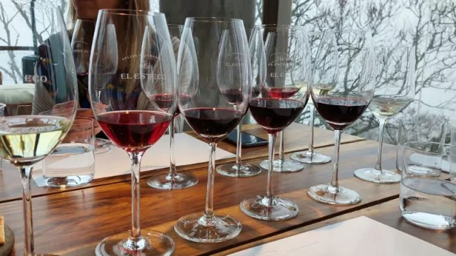 El Malbec como bandera de exportación (el Tannat gana terreno)