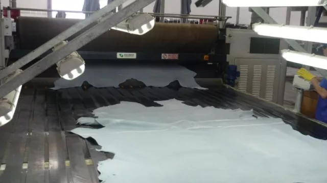 Industria paraguaya del cuero se mantiene firme pese a caída de exportación y bajos precios (Italia, el mayor comprador)