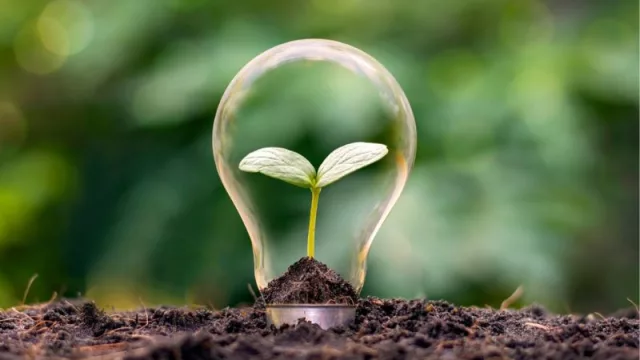 Una de cada cinco empresas está lista para innovar en soluciones sustentables