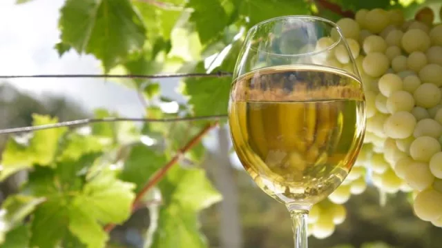 El Torrontés, insignia de Argentina (reconocimiento a la producción vitivinícola nacional)