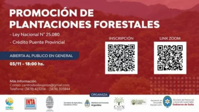 Charla virtual para la promoción de las plantaciones forestales (para participar, inscribite)