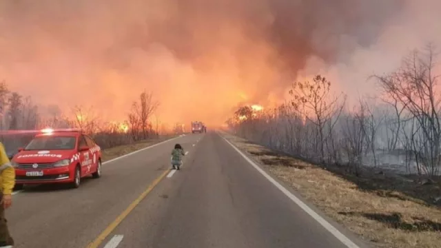 Preocupación del Centro de Obrajeros por los incendios en Salta (el fuego acabó ya con más de 40.000 hectáreas)