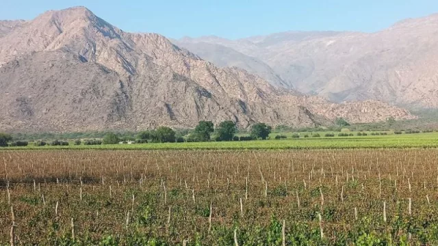 El campo está preocupado (por la sequía, incendios y las heladas) y pide la emergencia agropecuaria