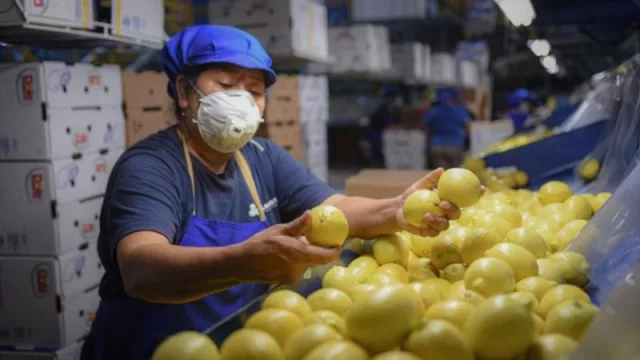 NEA – NOA: buscan impulsar la certificación de calidad de origen de la producción citrícola