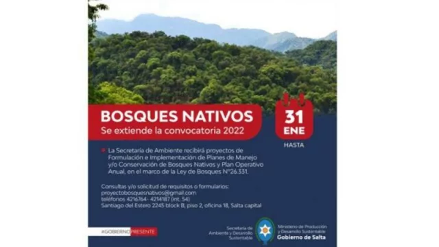 Últimos días para la presentación de proyectos de manejo y conservación de bosques Nativos
