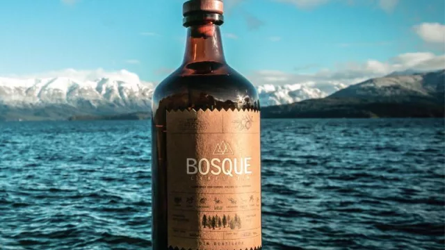 Y el Mejor Gin de Argentina es... Bosque Nativo (premiado por segunda vez en el World Gin Awards 2023)