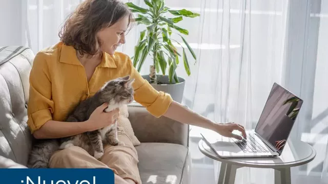 Ahora podés calcular cuánto vas a pagar de gas: Gasnor presentó su simulador de facturación