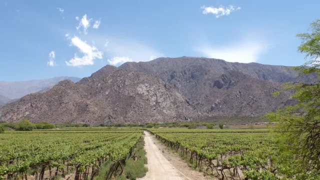 Para las agencias de turismo el Previaje 4 llega tarde (lo esperaban para enero y febrero, para equilibrar el año)